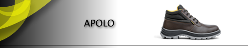 APOLO